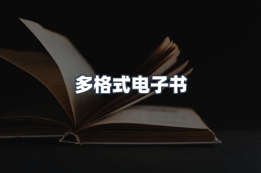 多格式电子书